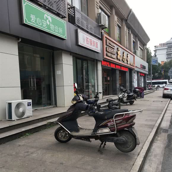 爱心宠物医院:绍兴市越城区中兴北路附近