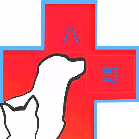 八哥宠物诊所(袍江店):绍兴市越城区袍江附近
