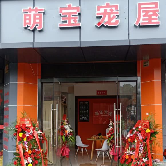 萌宝宠屋:绍兴市越城区城南附近