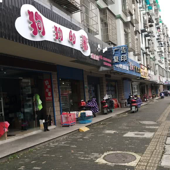 狗狗的事宠物店(城南店):绍兴市越城区城南附近
