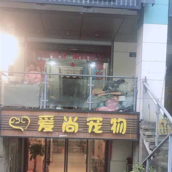 爱尚宠物:绍兴市越城区昌安立交桥附近