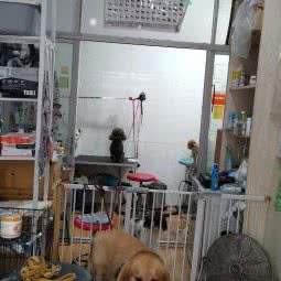 小宠宠物生活馆:绍兴市越城区罗门畈附近