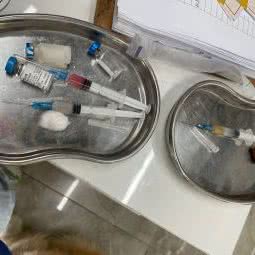 绍兴协和宠物医院:绍兴市越城区鲁迅故里附近