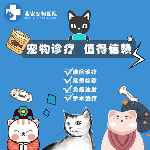 嘉宠宠物医院24小时(上虞店):绍兴市上虞区百官街道附近