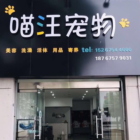 喵汪宠物店:绍兴市上虞区曹娥街道附近