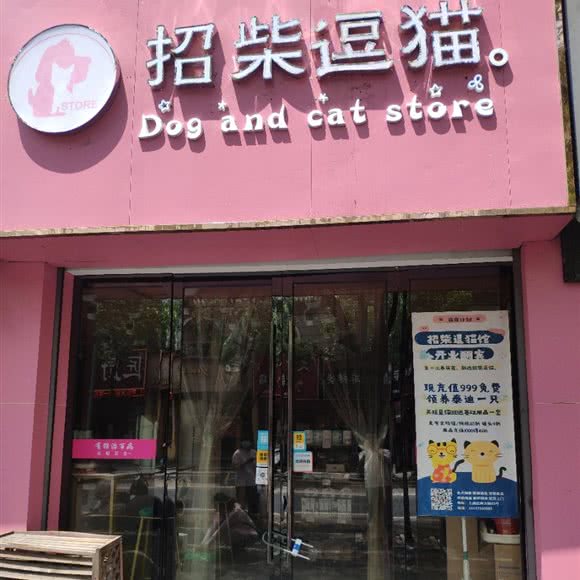 招柴逗猴子:绍兴市上虞区曹娥街道附近