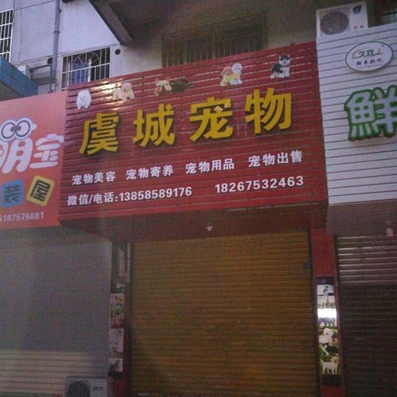 虞城宠物:绍兴市上虞区曹娥街道附近