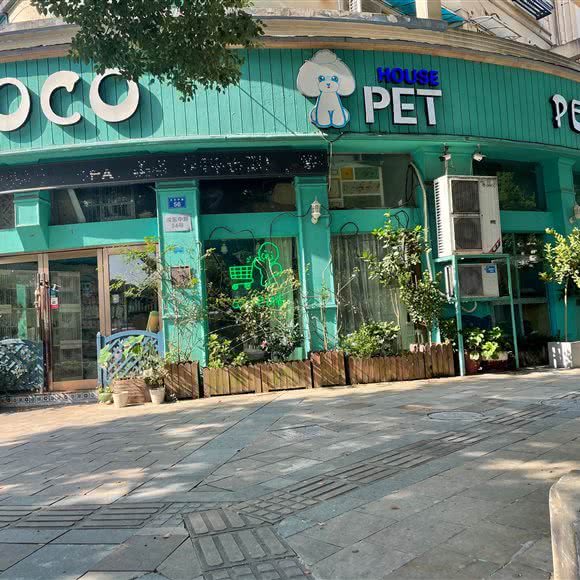COCO家宠物店:绍兴市诸暨市暨阳街道附近