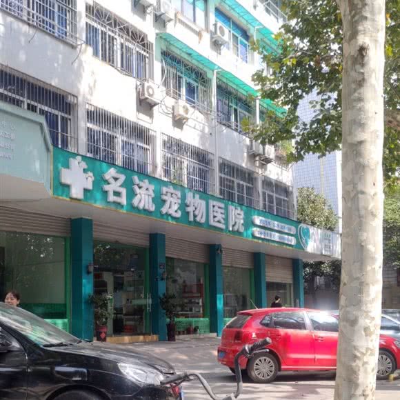 名流宠物医院(飘萍路):金华市婺城区江北附近