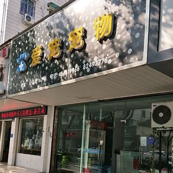 爱宠专业宠物医院:金华市婺城区江南附近