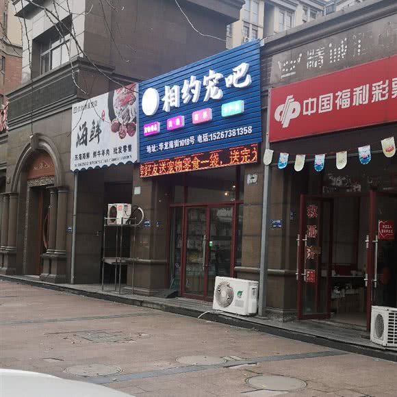 相约宠吧:金华市婺城区婺城区政府附近