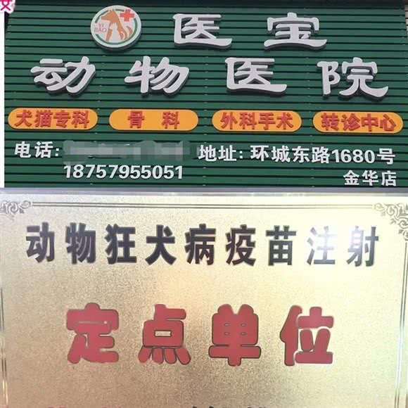 医宝动物医院(金华店):金华市金东区东关附近