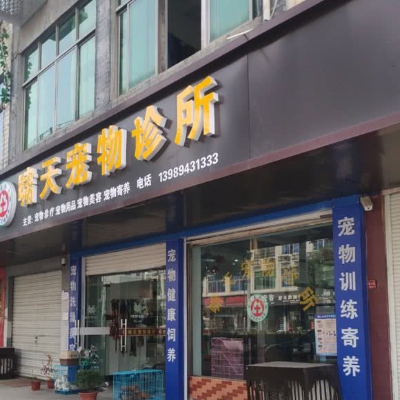 啸天宠物诊所:金华市金东区金义大都市附近
