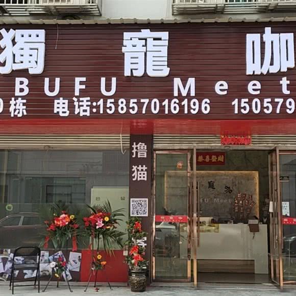 獨寵咖 BUFU Meet:金华市义乌市福田街道附近