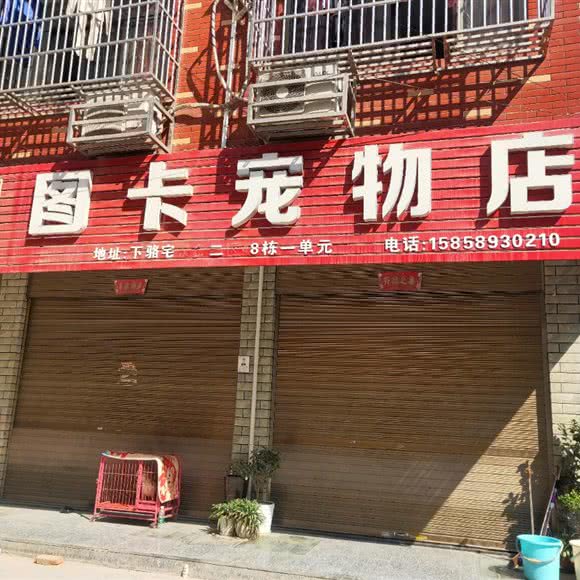 图卡宠物店:金华市义乌市福田街道附近