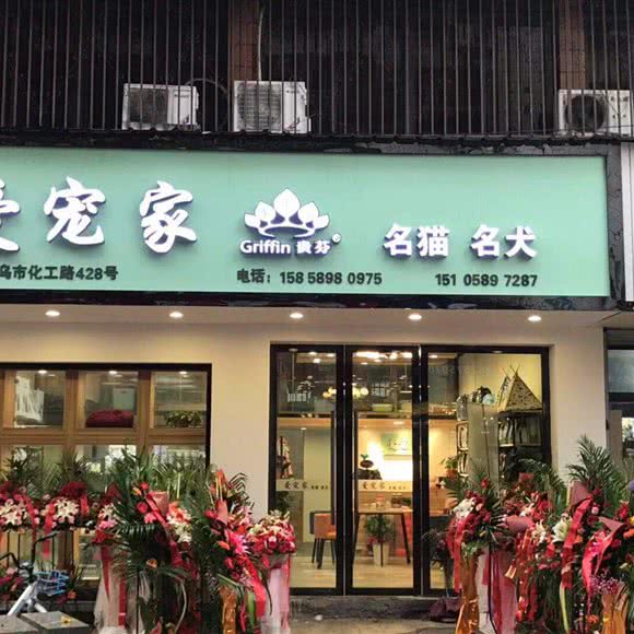 爱宠家宠物:金华市义乌市稠城街道附近