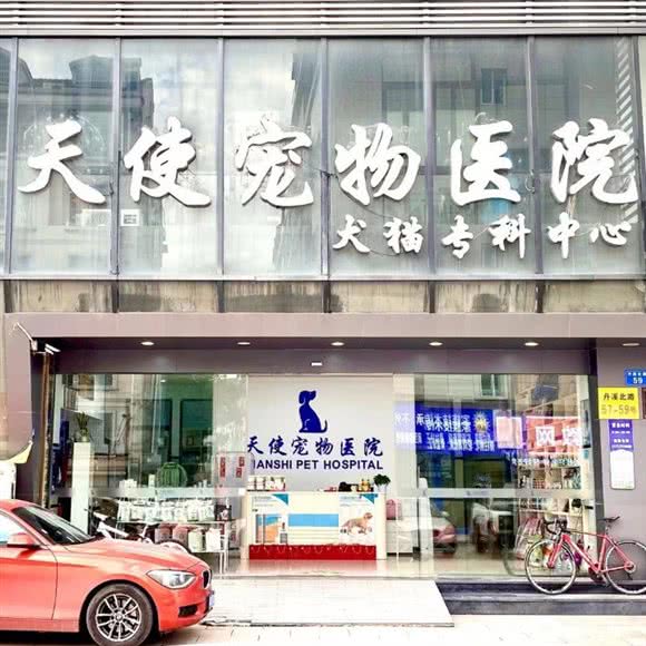 天使宠物医院:金华市义乌市稠城街道附近