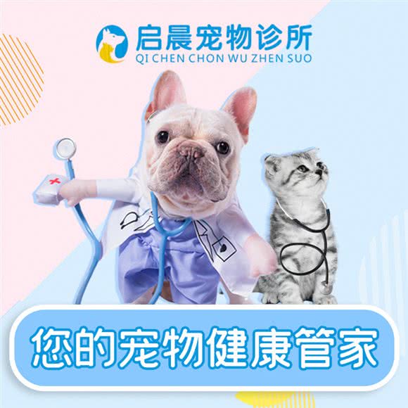 启晨宠物诊所:金华市义乌市稠城街道附近