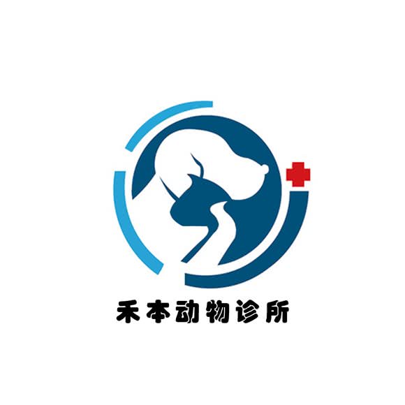 外猫宠物诊疗:金华市义乌市稠城街道附近