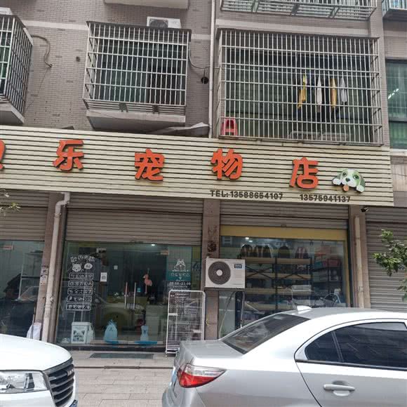 贝乐宠物店:金华市义乌市江东街道附近