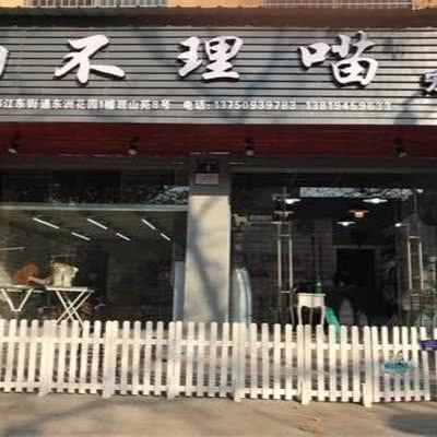 狗不理喵宠物:金华市义乌市江东街道附近