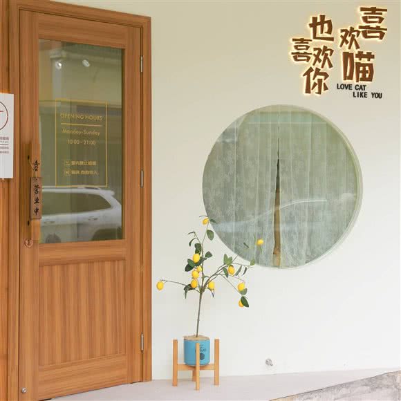 喜喵猫舍·猫咖·猫咪精洗:金华市义乌市北苑街道附近