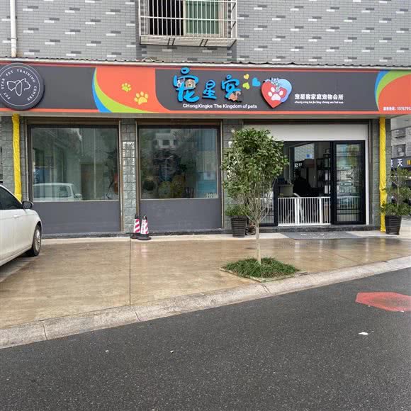 宠星客宠物体能训练中心:金华市义乌市北苑街道附近
