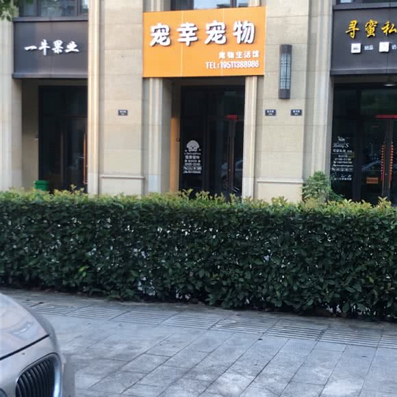专宠宠物:金华市义乌市北苑街道附近