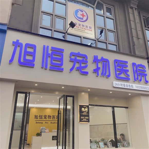 旭恒宠物医院:金华市义乌市北苑街道附近
