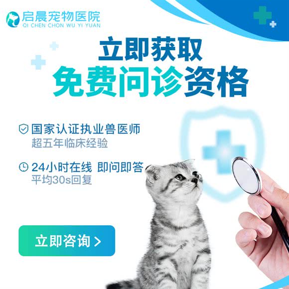 启晨宠物医院:金华市义乌市北苑街道附近