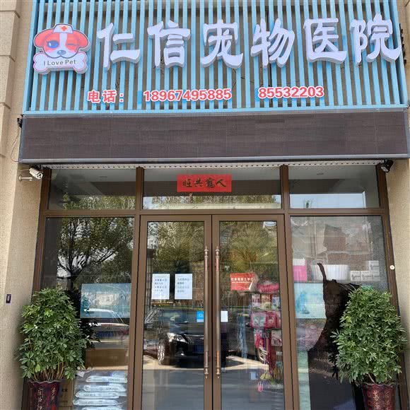 仁信宠物医院:金华市义乌市北苑街道附近