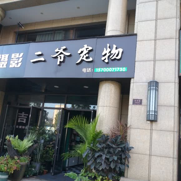 二爷宠物:金华市义乌市稠江街道附近