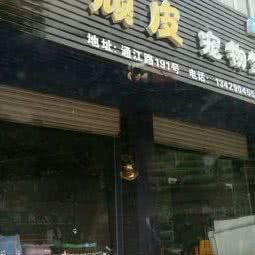 顽皮私宠:金华市东阳市吴宁街道附近
