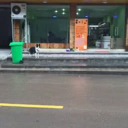 牧和邻宠物诊所(东阳店):金华市东阳市吴宁街道附近