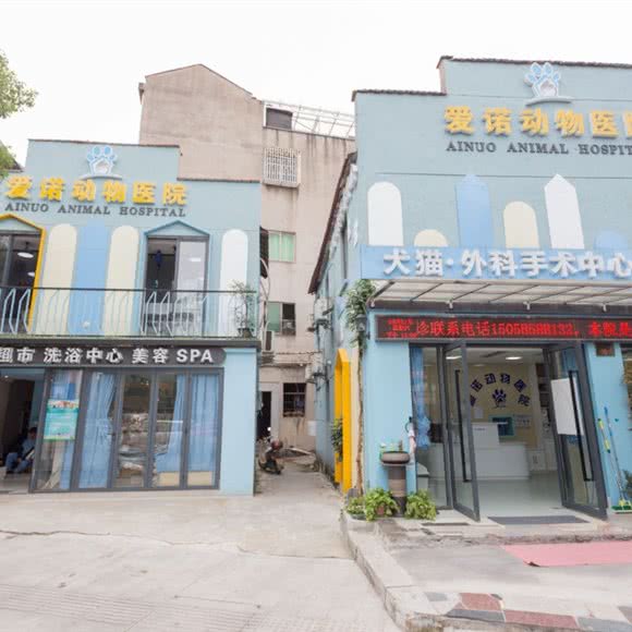 爱诺宠物医院:金华市永康市江南街道附近