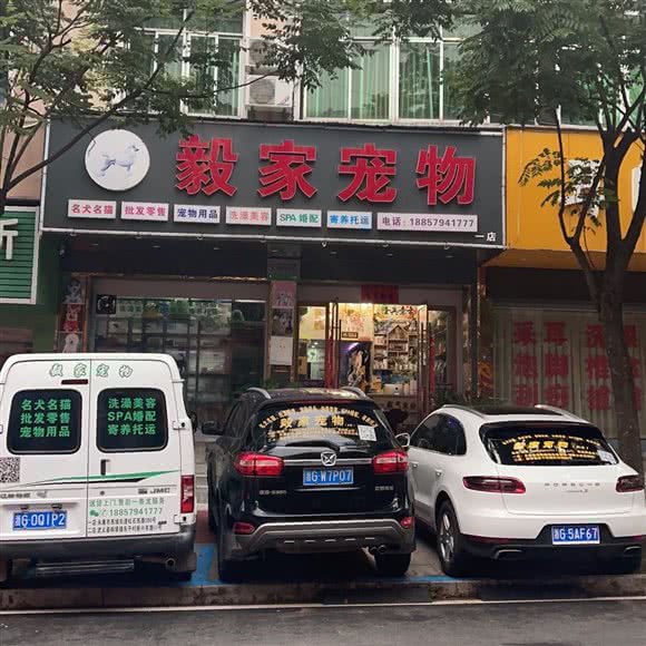 毅家宠物(永康店):金华市永康市西城街道附近