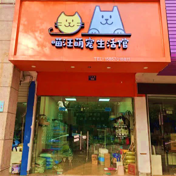 喵汪萌宠生活馆:衢州市柯城区体育局附近