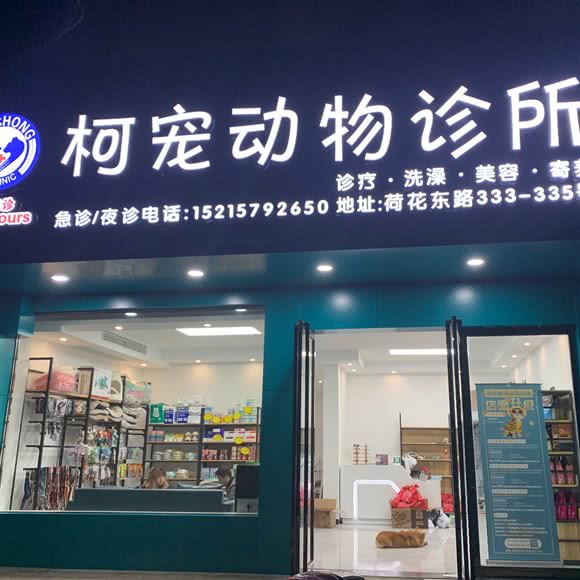 柯宠动物诊所:衢州市柯城区万达广场附近