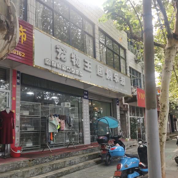 宠物王国俱乐部:衢州市龙游县龙洲街道附近