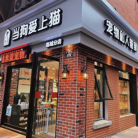 當狗爱上猫(当狗爱上猫临城店):舟山市定海区乐购附近