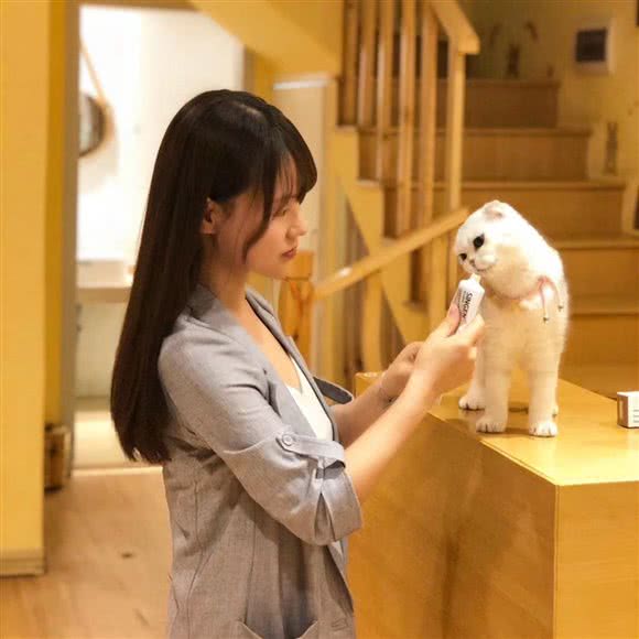 喵小妖宠物生活馆:舟山市定海区港岛路附近
