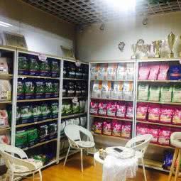 蓝狗宠物旗舰店(海山公园店):舟山市定海区文化路附近