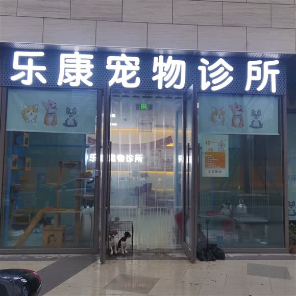 乐康宠物诊所:舟山市定海区教育学院附近
