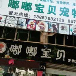 嘟嘟宝贝宠物乐园(黄岩店):台州市黄岩区桔香楼附近
