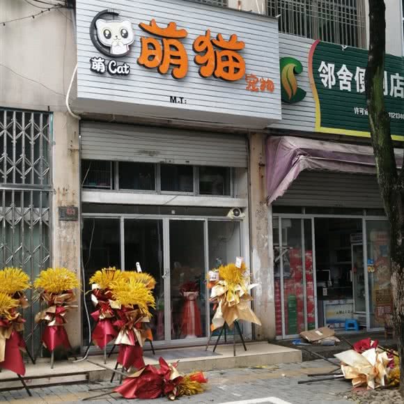 萌猫宠物:台州市路桥区富仕广场附近