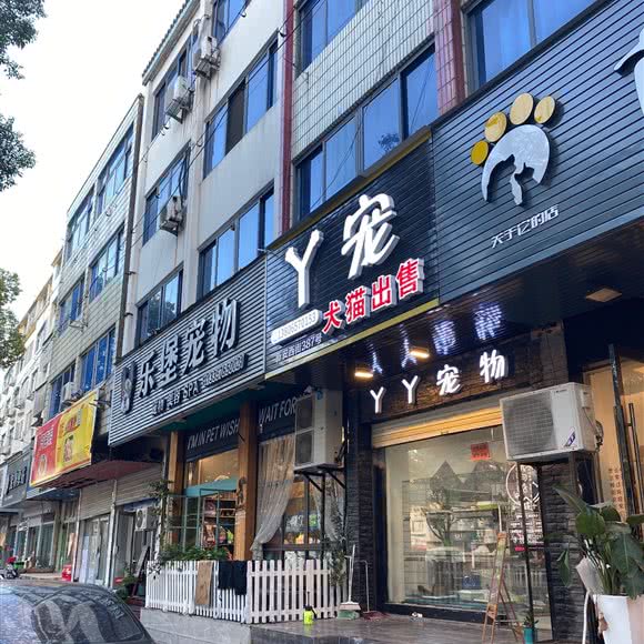 丫宠:台州市路桥区富仕广场附近