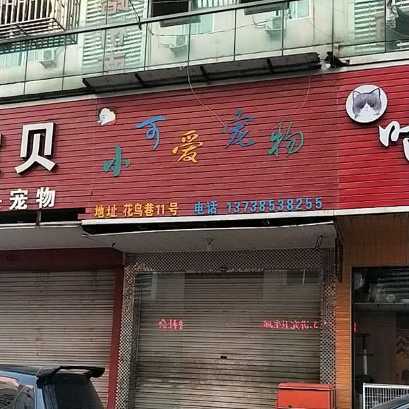 小可爱宠物会馆:台州市路桥区富仕广场附近