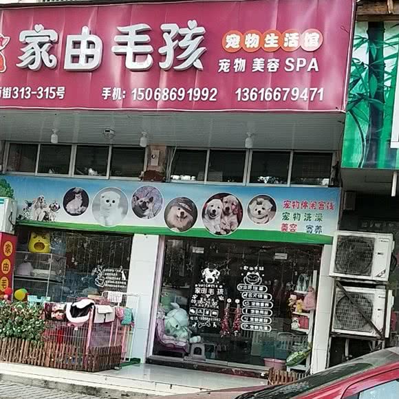 家由毛孩宠物生活馆:台州市路桥区花鸟市场附近