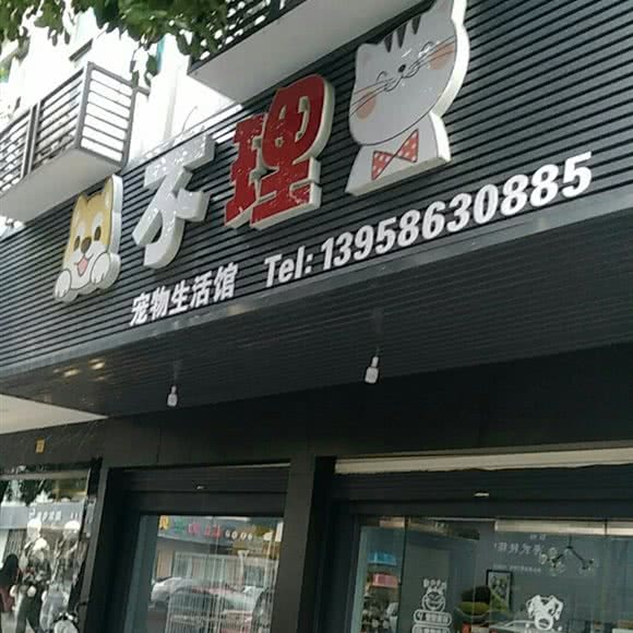 狗不理猫:台州市路桥区金清镇附近