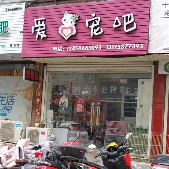 爱心宠物:台州市临海市古城街道附近